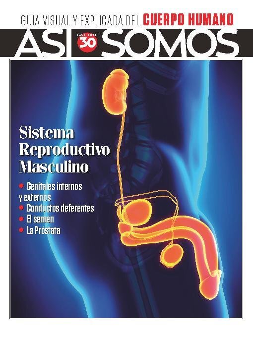 Title details for Así Somos - El cuerpo humano by Media Contenidos - Available